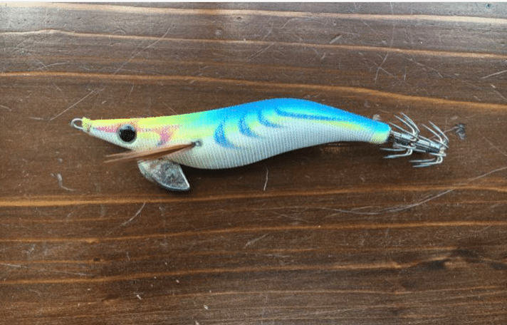 コロナウイルス ばりの伝染力 近くにいるイカを一気に集める 最強エギとは オンライン釣り塾 Fishing 科学 こう兄 公式 Note コロナウイルス ばりの伝染力 近くにいるイカを一気に集める 最強エギとは オンライン釣り塾 Fishing 科学 こう兄 公式 Note