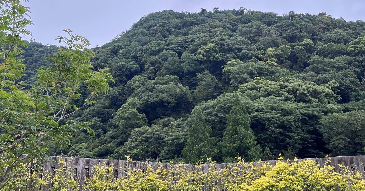 保守の精神2.】「現状批判」から「現状維持」へ：なぜ現代人はすぐに不満を口にするのか？保守主義の精神｜永瀬豊