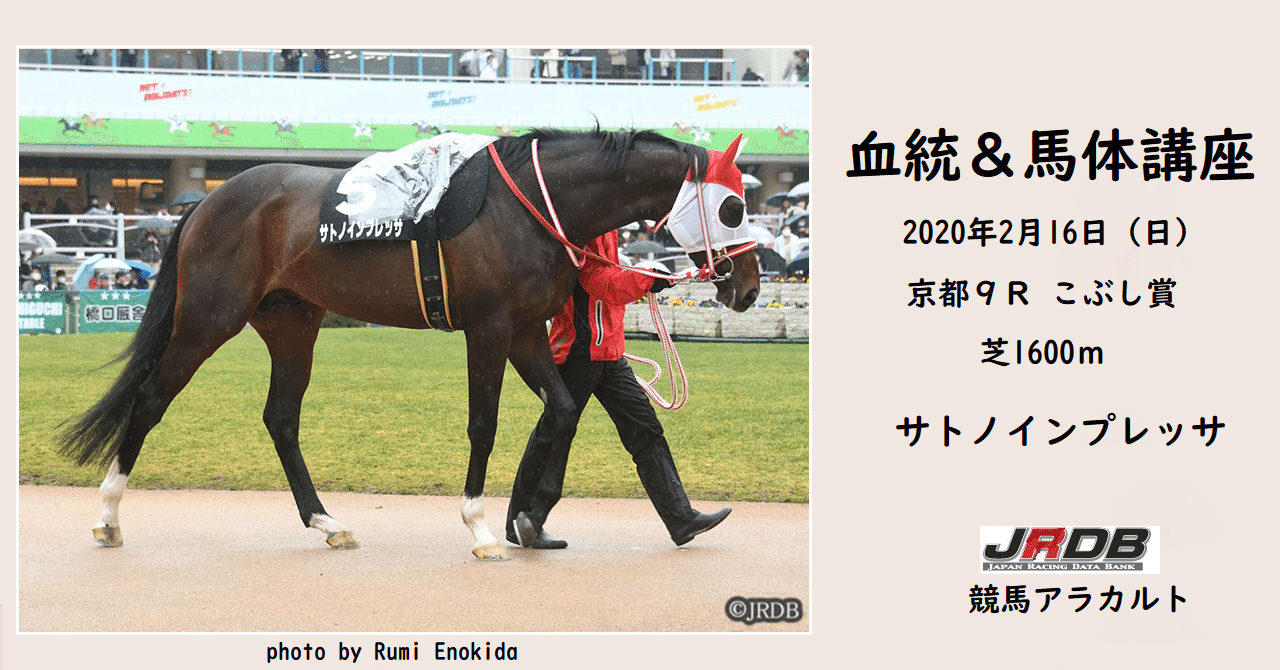 血統 馬体講座 サトノインプレッサ こぶし賞 Jrdb 競馬アラカルト Note