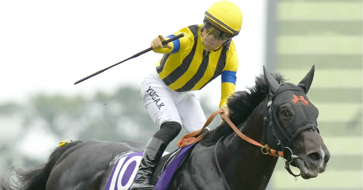 JRAポスター ジャンタルマンタル ジャンタルマンタル（Jantar Mantar） | 競馬データベース | JRA