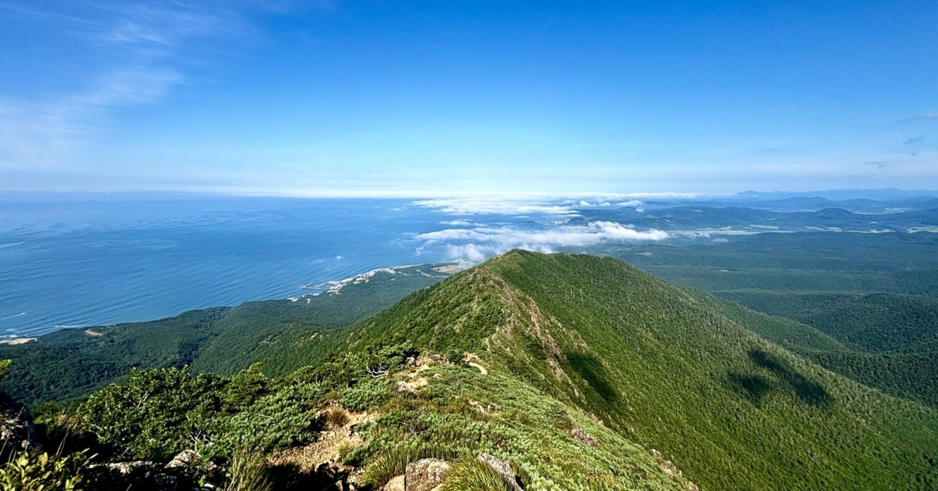 ff76df38f65c05f8d5f7f2c026fd82