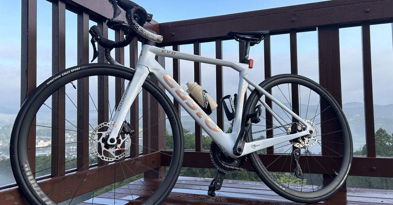 GIANT ロードバイク ブルー 購入後、10キロ程度走行 自宅室内保管