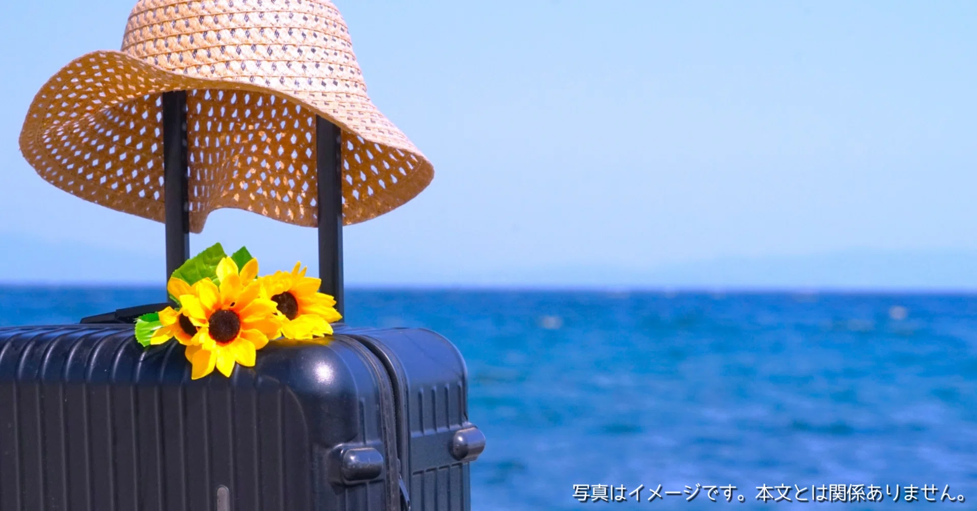 fofoはどこの国のスーツケース？キャリーケース│機内持ち込み 大型 多 