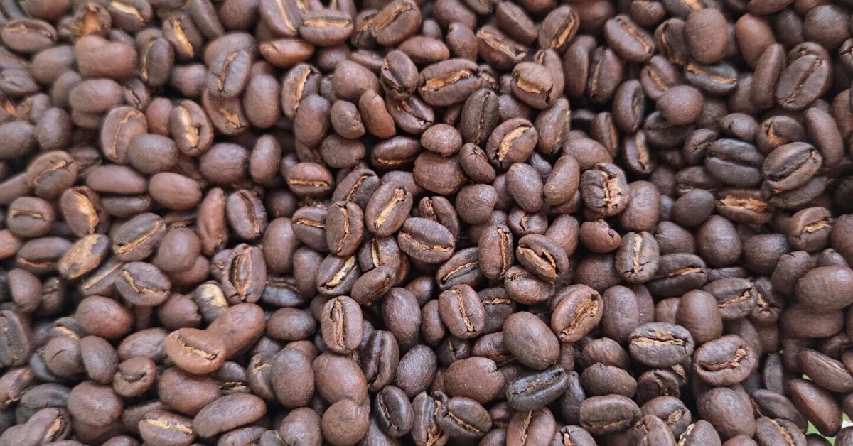 Home Roasted Coffee Beans｜かかし