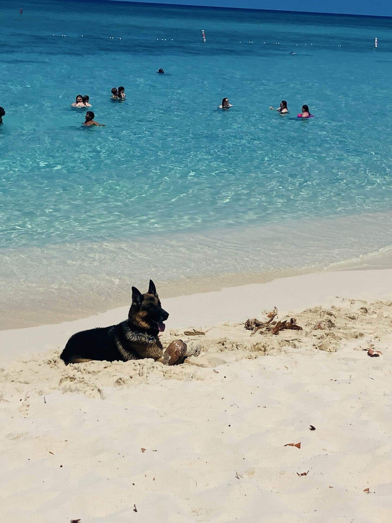 カリブ海クルーズ2】ケイマン諸島｜Mai