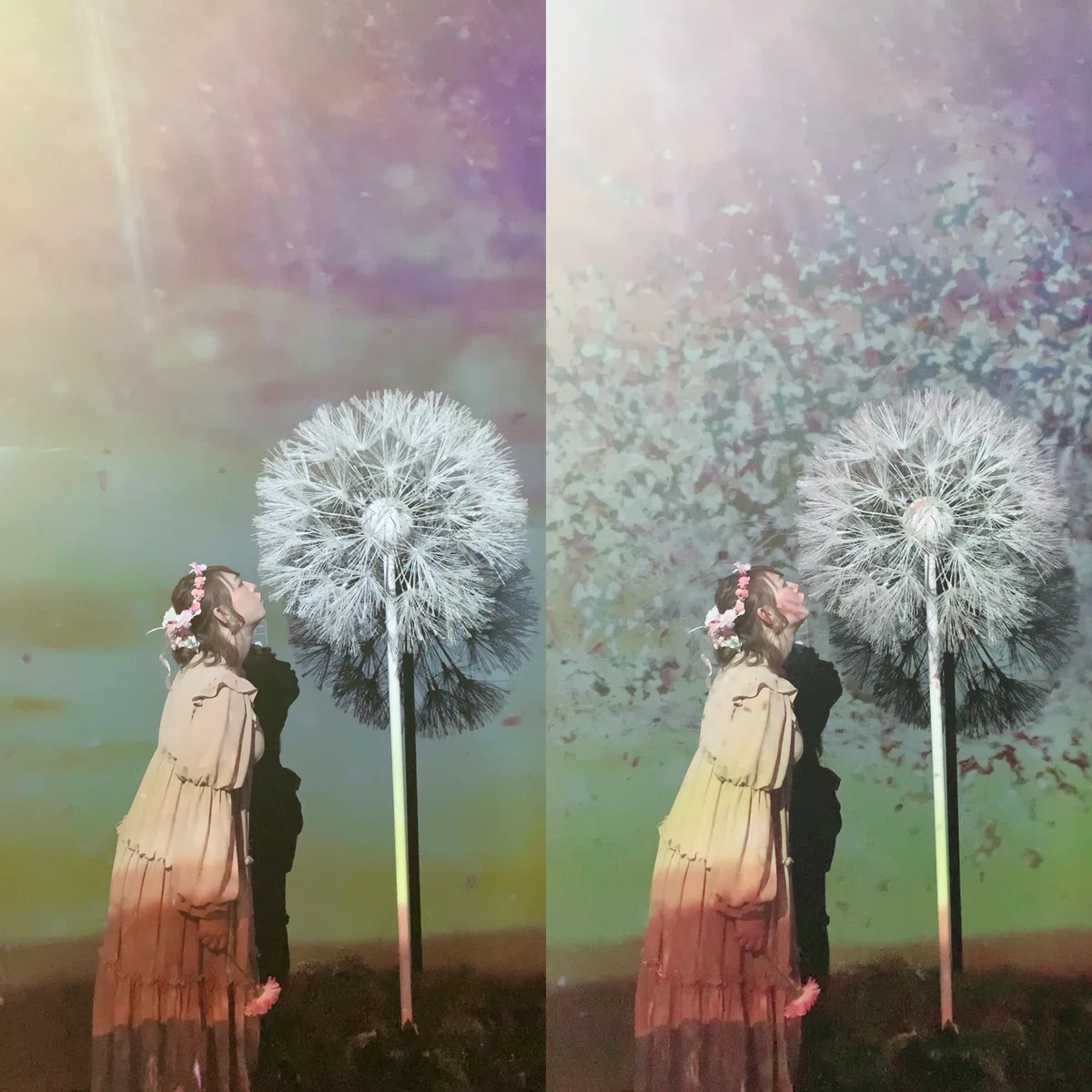 画像24