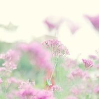 ま いっか の精神で ままさき Note