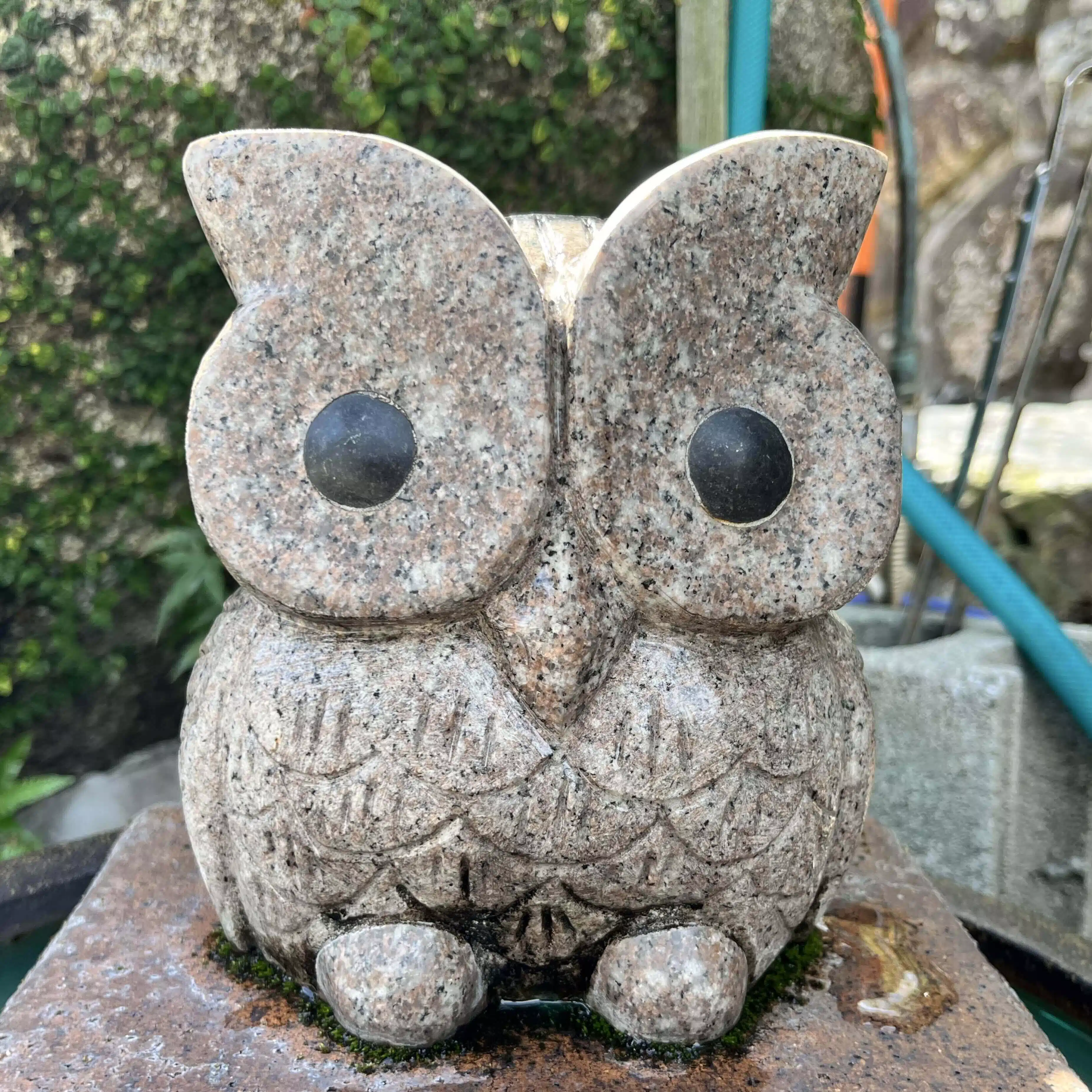 kazkazu50(かず)