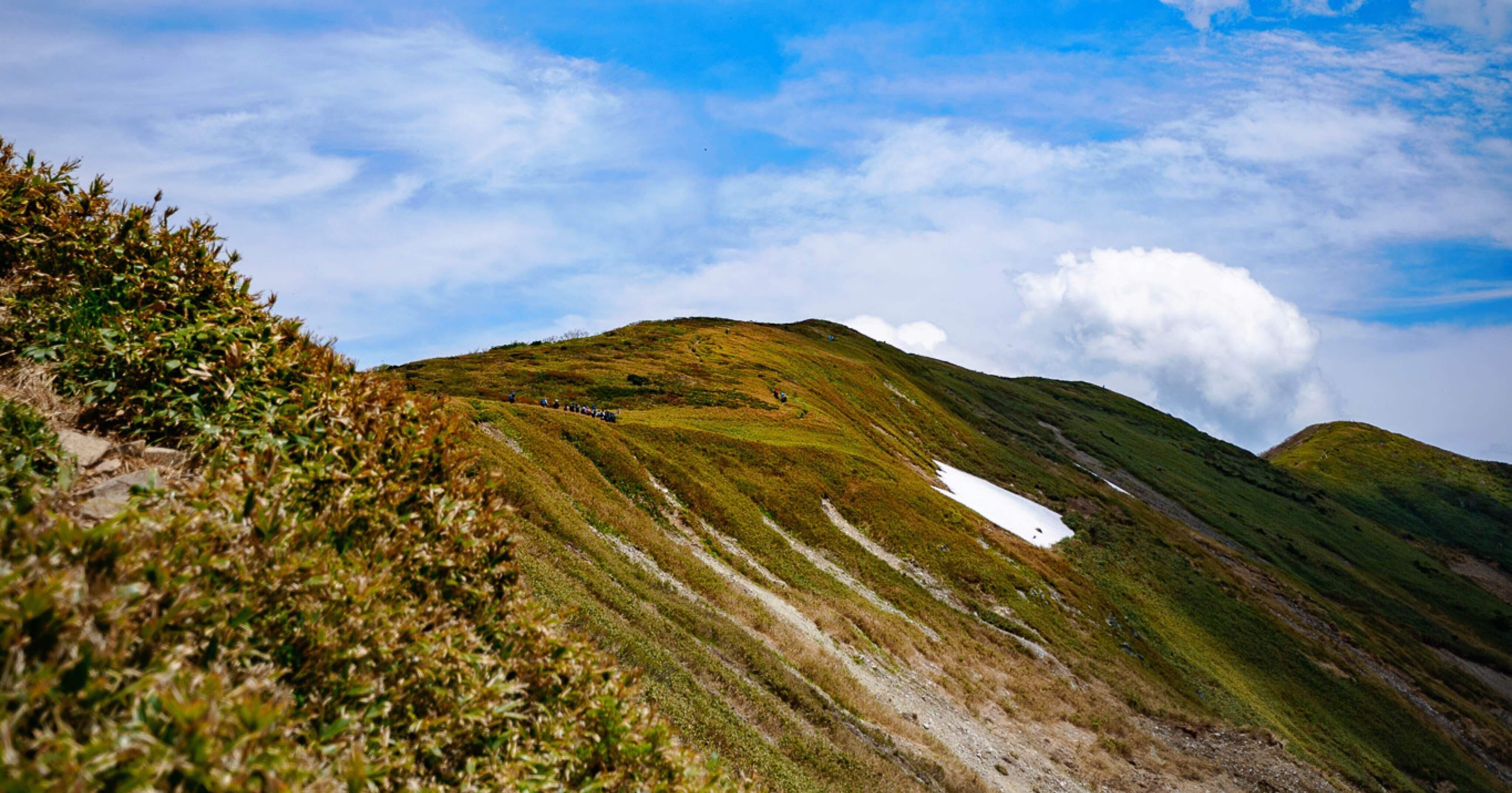 新緑から深緑へ。天空の分水嶺を歩く、平標山。｜しみじみ山歩き