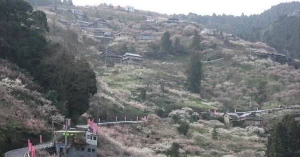 【中古】 死亡退院 生きがいも夢も病棟にある/南日本新聞社/清水哲男 中古】 死亡退院 生きがいも夢も病棟にある/南日本新聞社/清水哲男