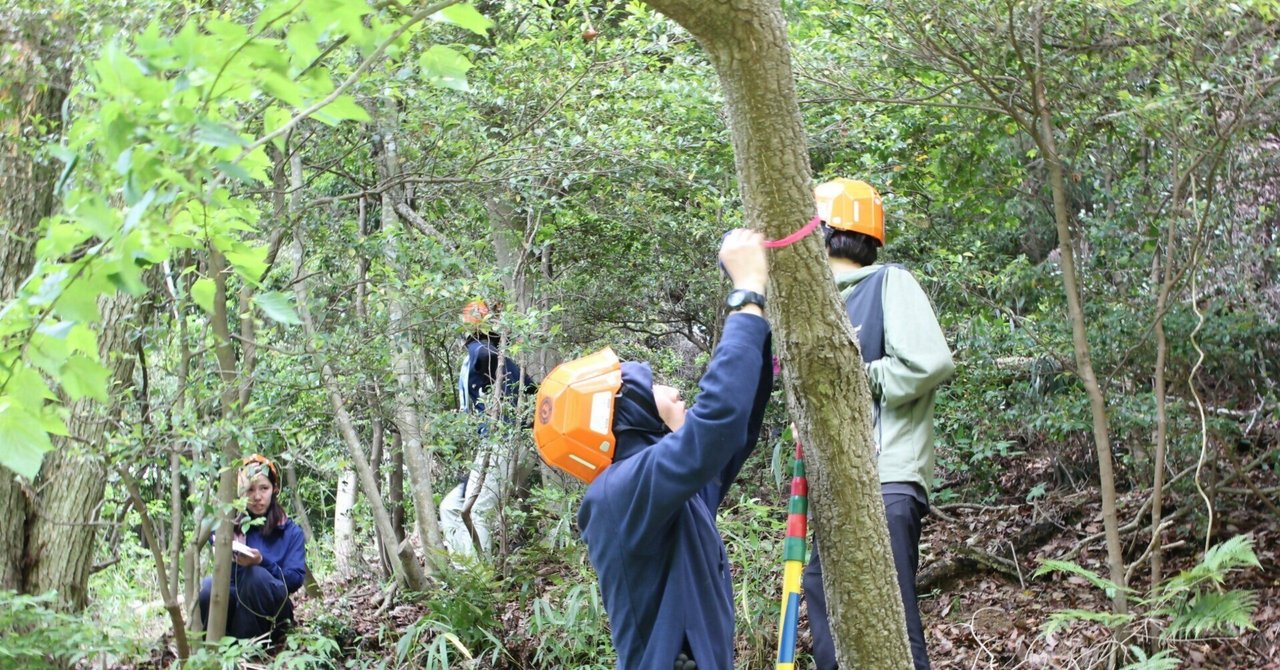 森の木を切るのは悪いこと？資源の循環でつながる都市と森林｜神戸市公式note
