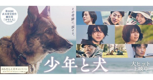 初恋DOGs ポスター 初恋DOGs ︴TBS7月期火曜ドラマ《公式》 on X: 