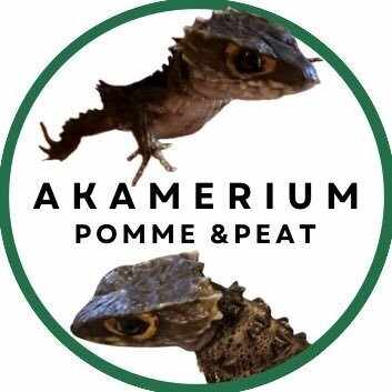 Beat！@アカメリウム製作が趣味の人