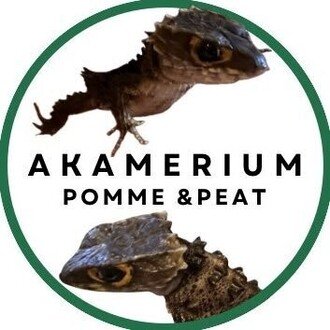 Beat!@アカメリウム製作が趣味の人