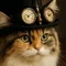ねこのま