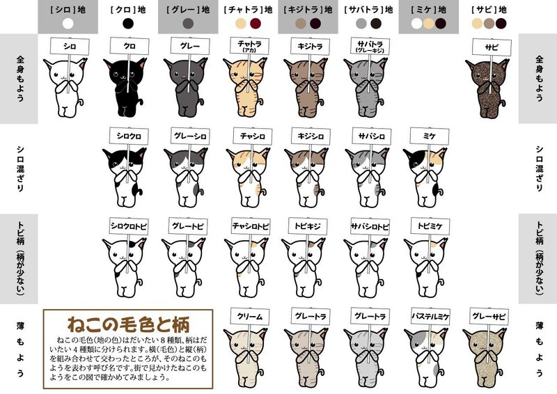 毛の色で判断されたら 往生しまっせ カールパパ Note