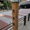 うちらは乃木坂上り隊◢