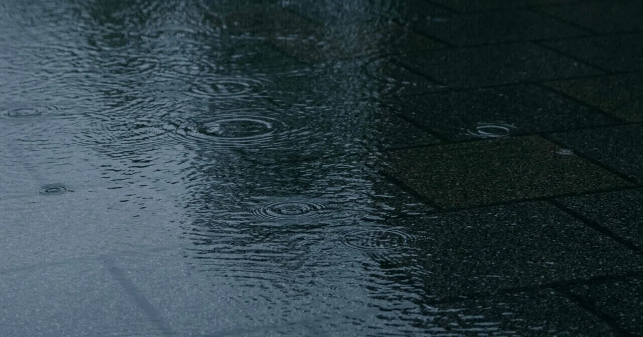 雨と夢とコーヒー豆｜tsubaki