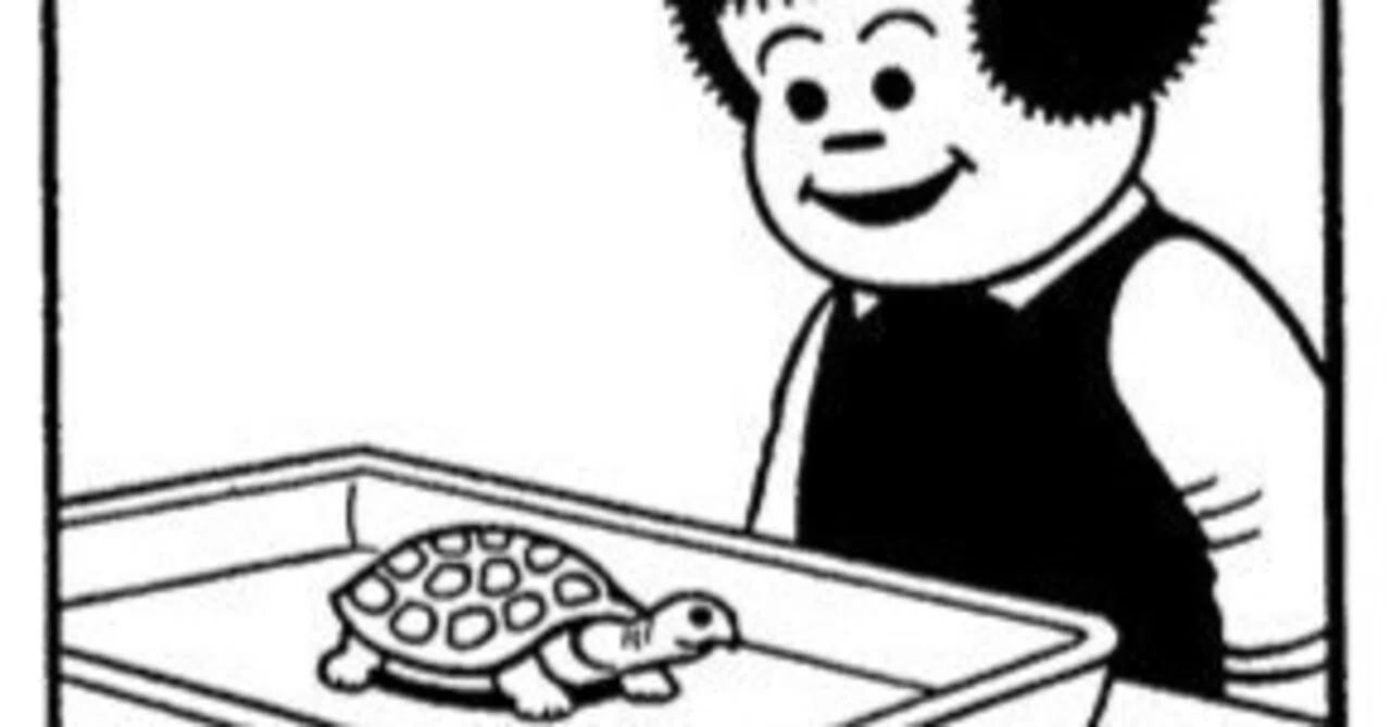 AI:「のろのろ」の英語表現30選|Kohizuka, Anden