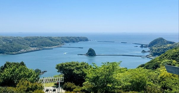 ヤナの森の生活 ハワイ島の大地に生きる ヤナ著 ケイコ