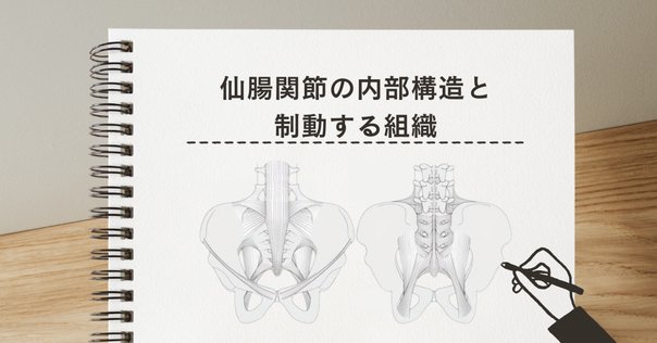 仙腸関節 評価とアプローチ DVD ME255-S 仙腸関節に対するシステマティックな評価とアプローチ～仙腸関節