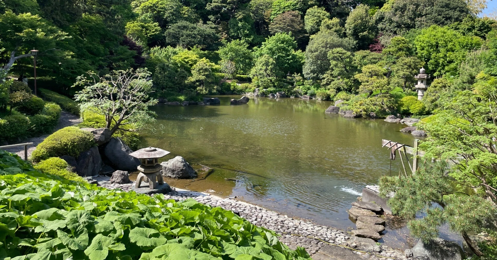 一般公開は年間数日！奇麗さびの庭園と伝わる松壽園【小堀遠州 池上