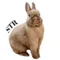SAVE THE RABBITS diary