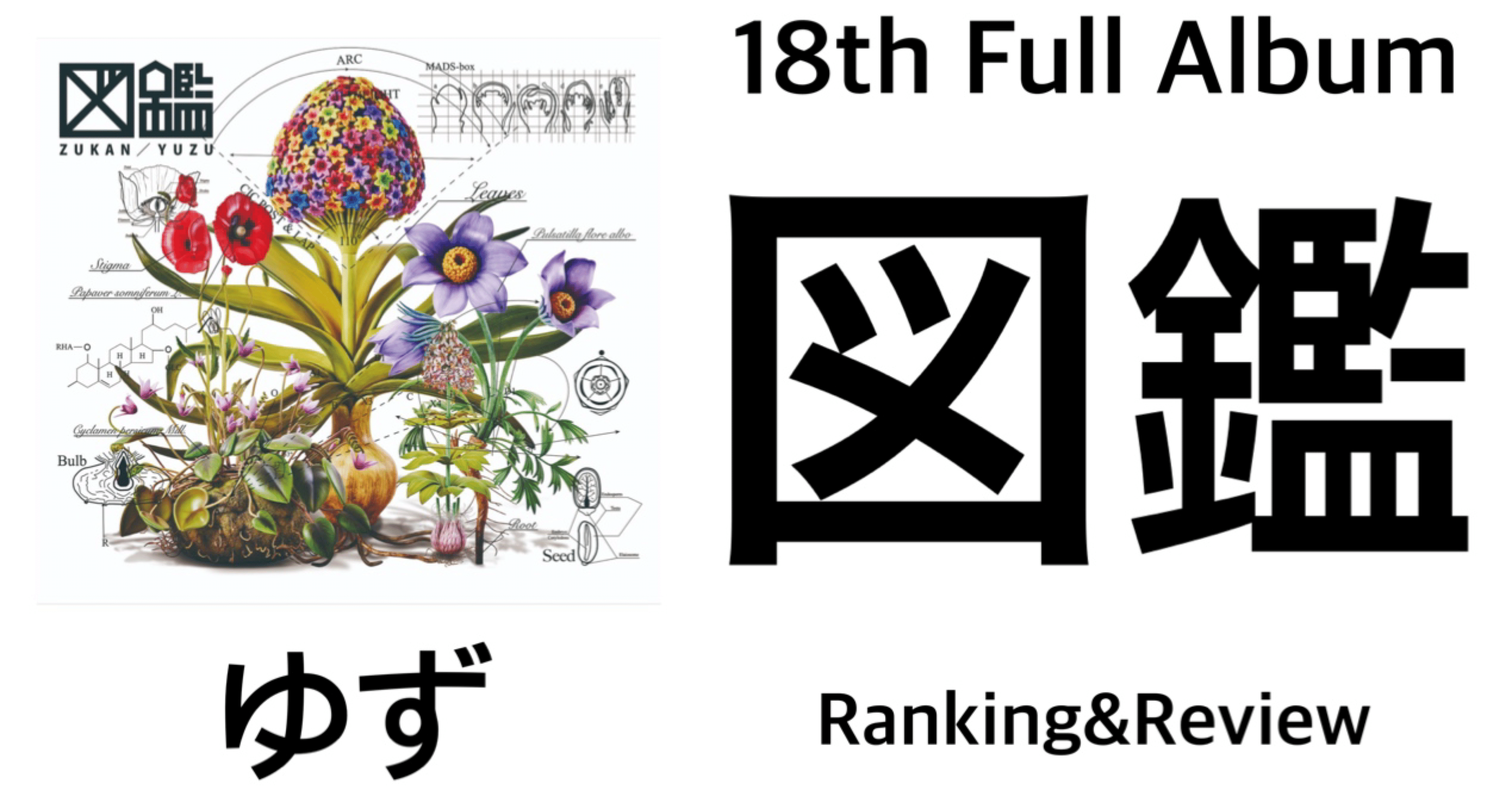 新時代突入】ゆず 18th Full Album『図鑑』 Ranking & Review