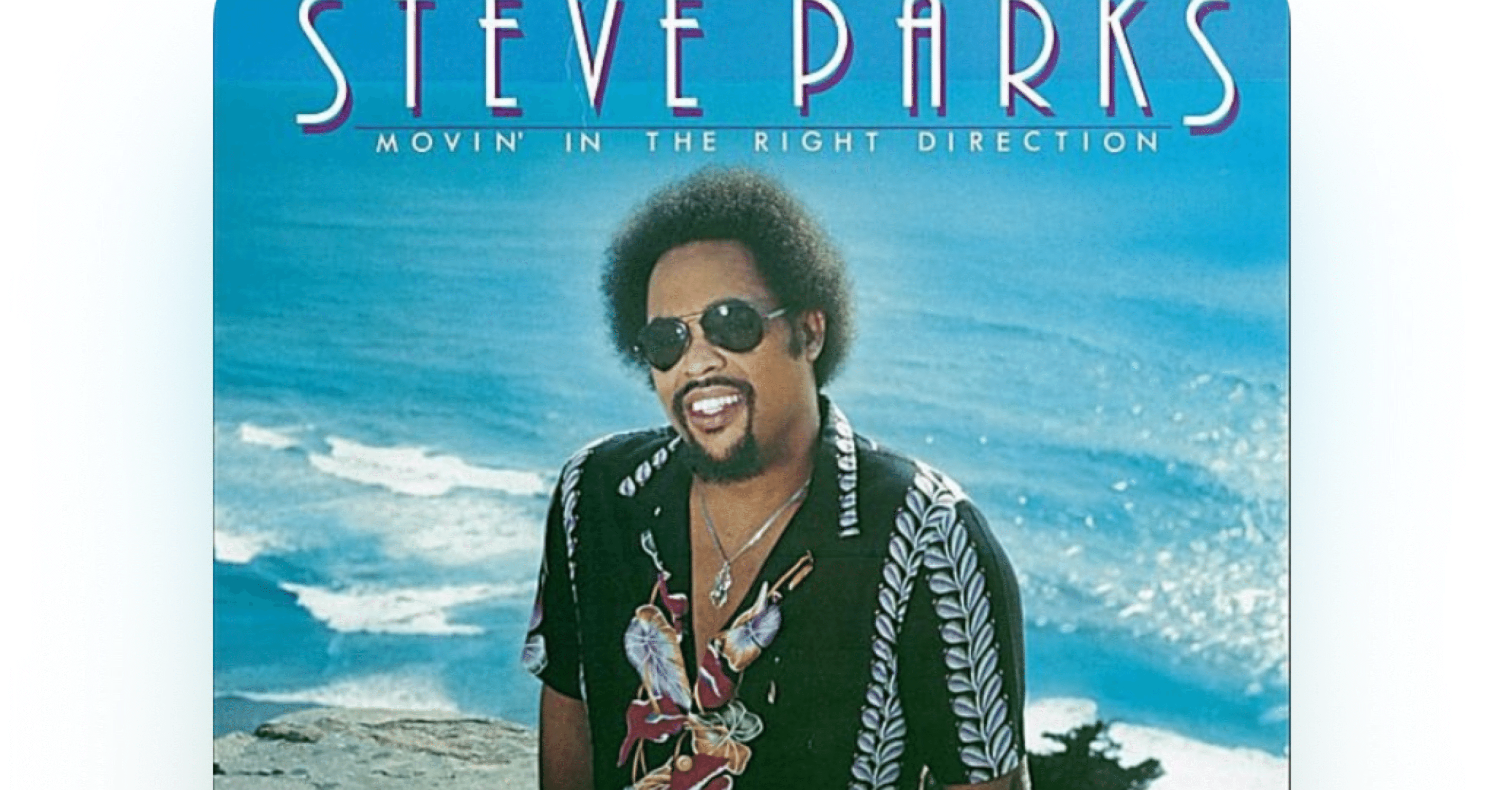 夏の名盤” 強化月間 其の⑦】 わざとらし過ぎるジャケットでもう最高