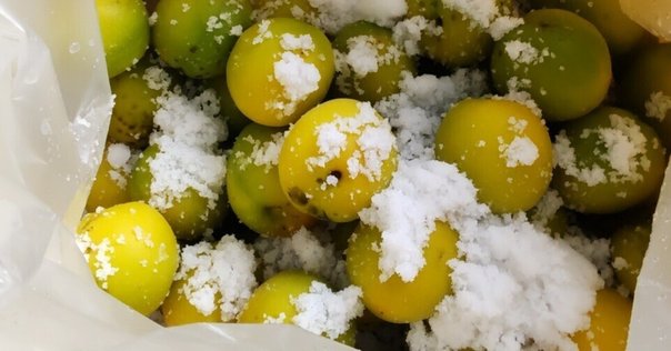 十郎梅の梅干し完成とその後（十郎梅その4～6、追記あり）｜梅も