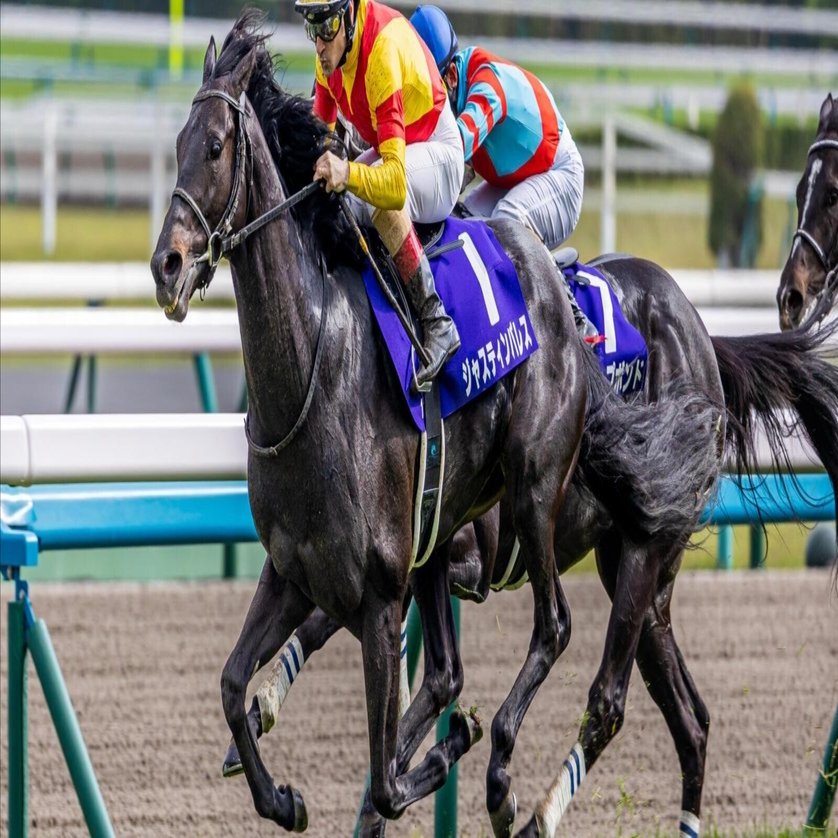 もうジャスティンパレスで泣きたくないよね。馬の特性をしっかり把握し