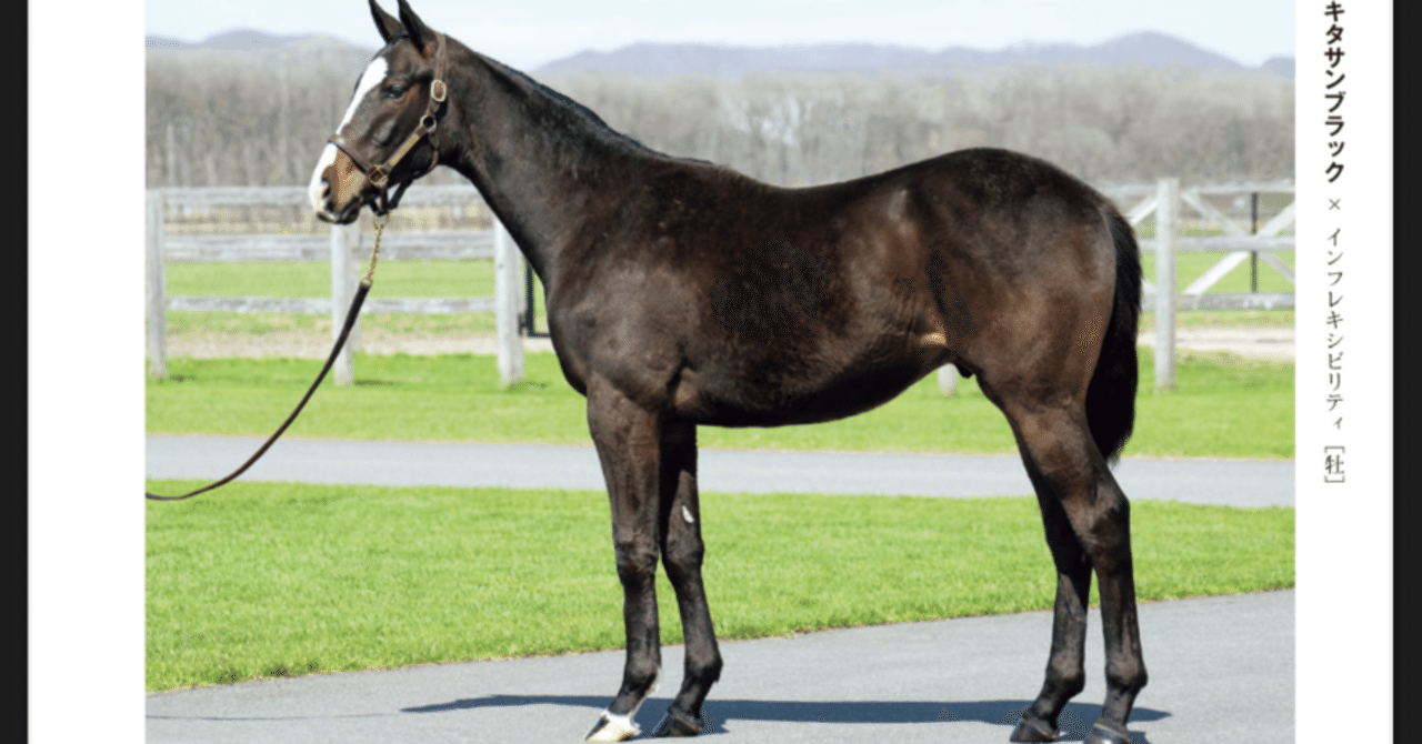 社台出資検討】2：インフレキシビリティの2024（キタサンブラック産駒