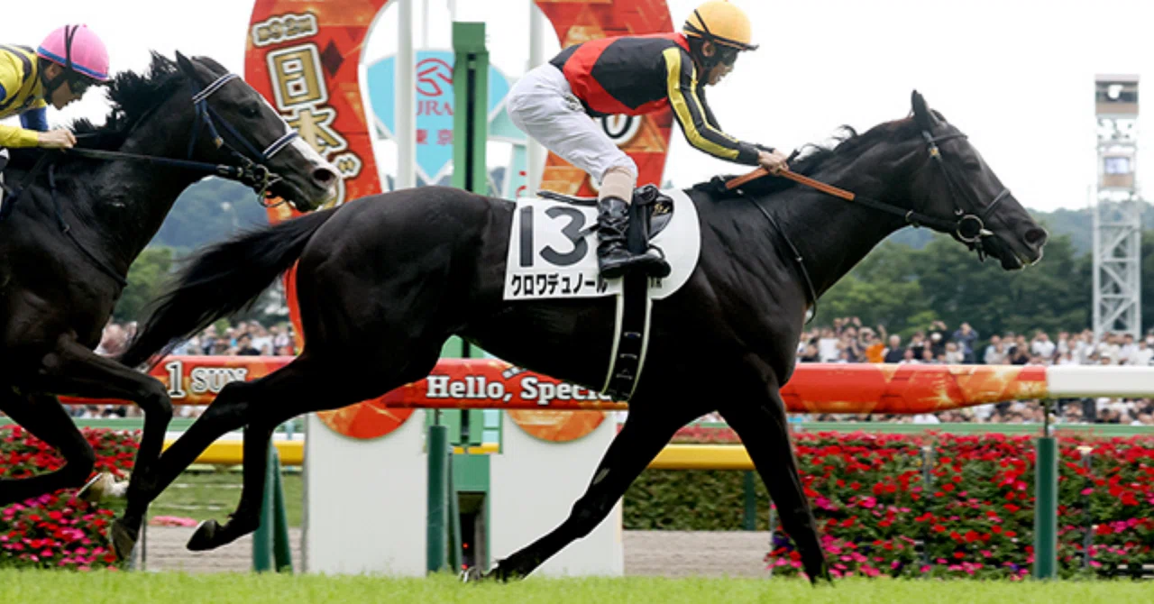 一口馬主】サンデーサラブレッドクラブの2023年度募集馬(現3歳馬)を