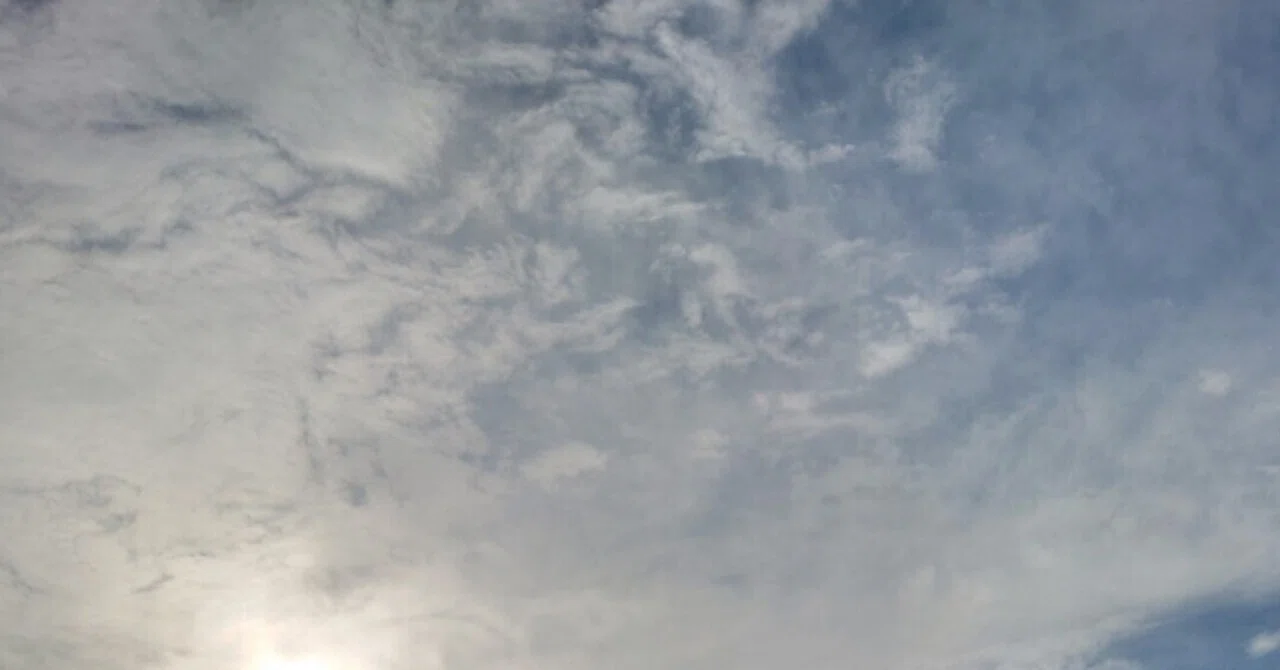筋斗雲ひろった｜たかさば