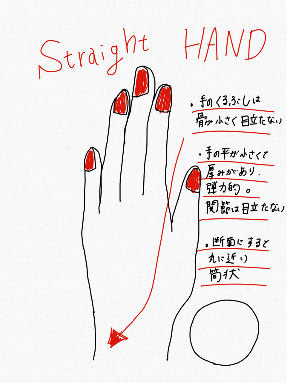 各パーツでわかる簡単骨格診断 メイクレッスン Mory Note