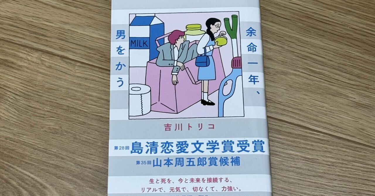あらゐけいいち全作品研究』のためのメモ2：新しくあらゐけい