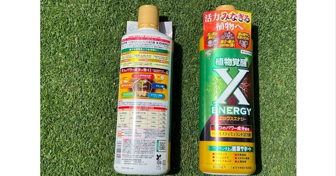X-ENERGY」とビール酵母抽出物の芝生への効果｜パッティンググリーン