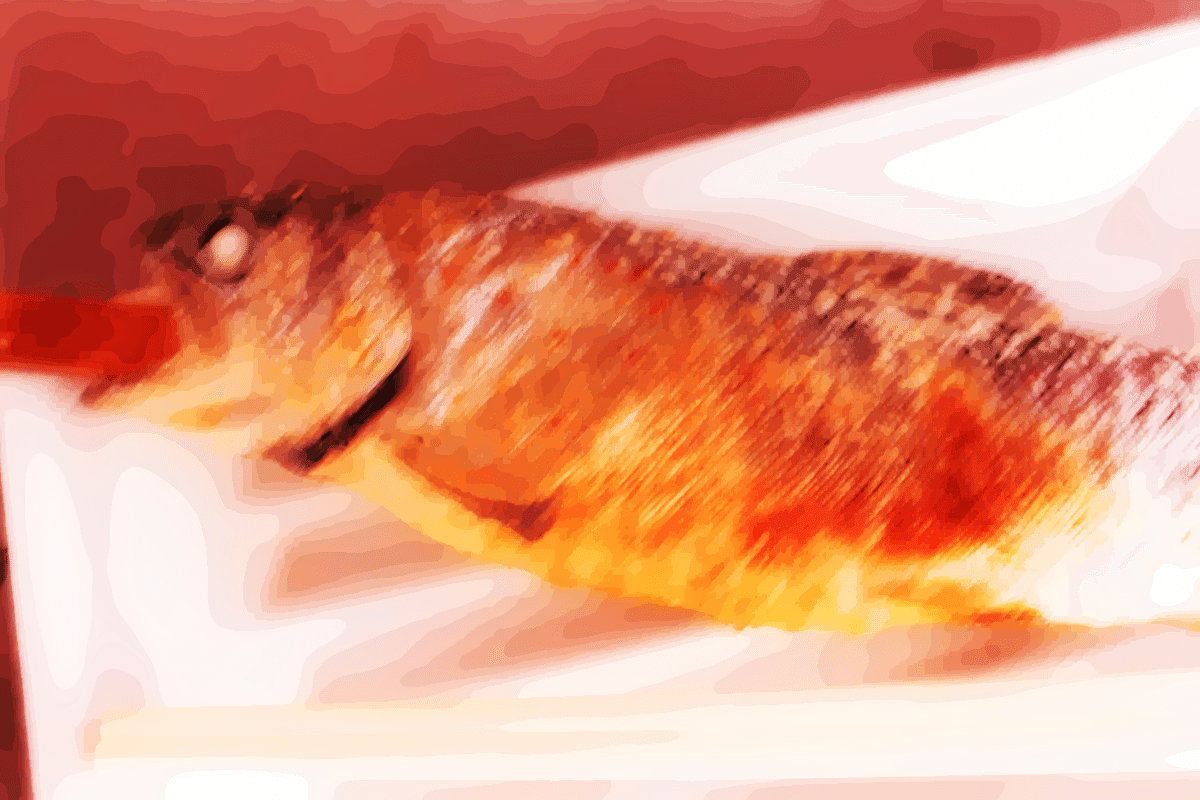 成清智子 焼き魚 成清智子 Note