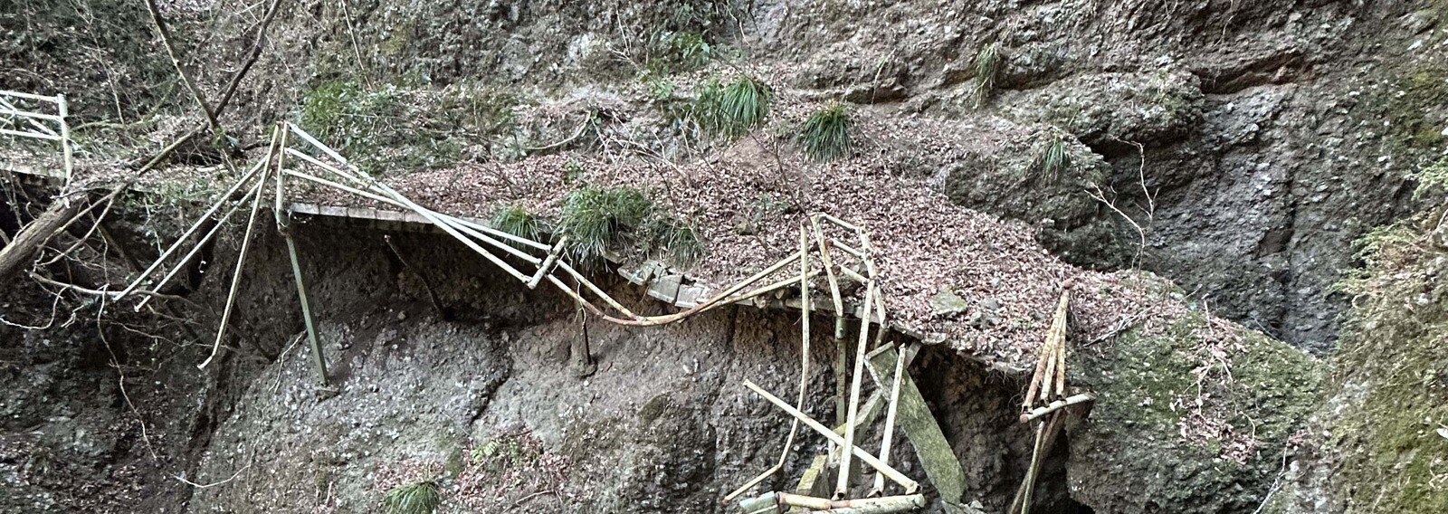 ほっしー💫｜note