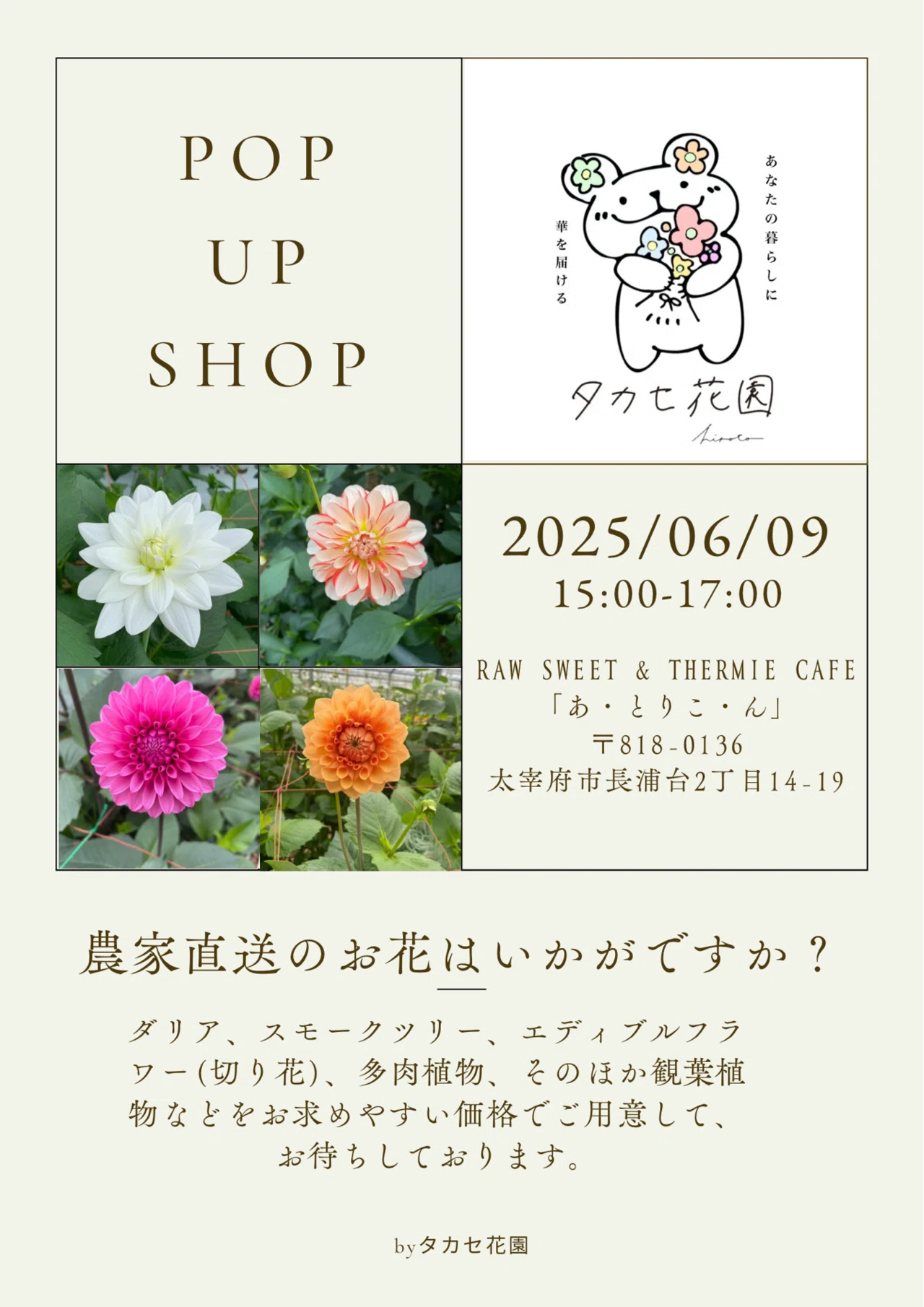 一日花屋レポ】お客さま、まさかの○人？！｜福岡 切り花農家｜タカセ