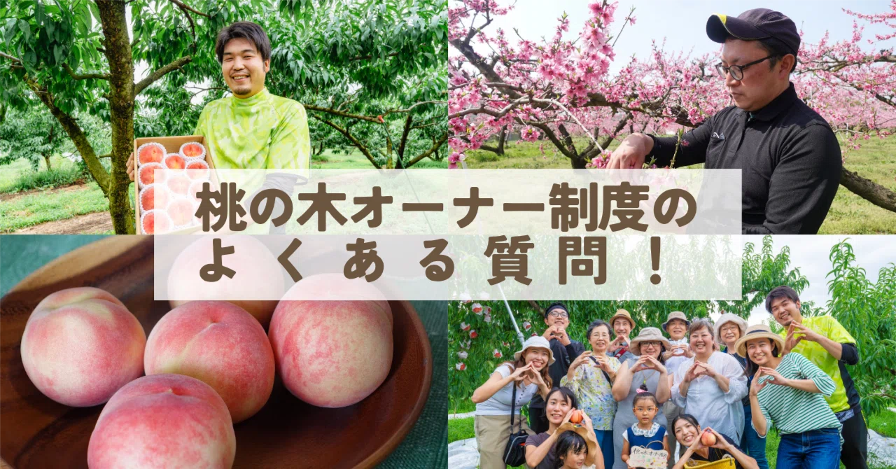 桃の木オーナー制度のよくある質問！｜クニミノマド オーナー制度
