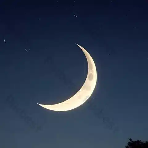 月太壱