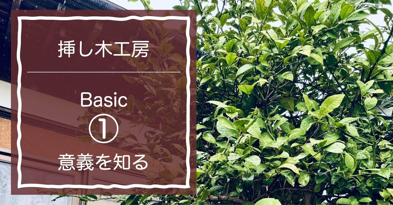 公式 それは単純に木を増やすだけでなく‥◇挿し木工房Basic①「意義を 絵画