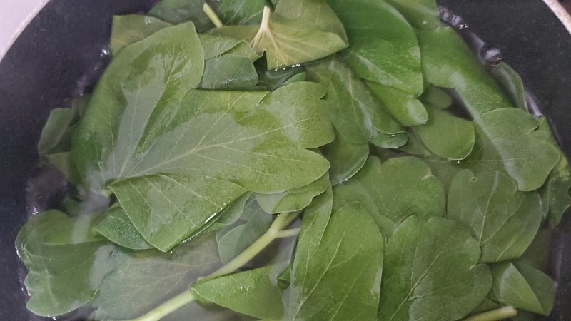 レシピ 沖縄島食材 長命草のジェノベーゼ 萌絵 Note レシピ 沖縄島食材 長命草のジェノベーゼ 萌絵 Note