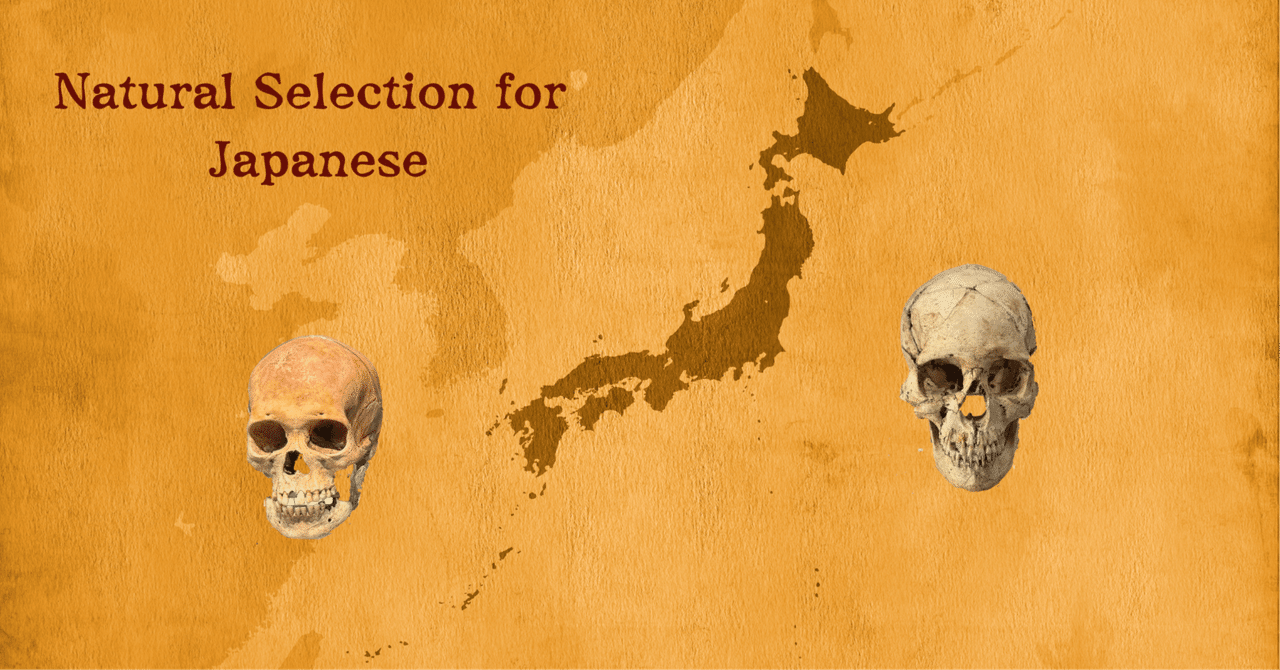 日本人はどのような自然選択を受けてきたのか – 現代人・古代人ゲノム