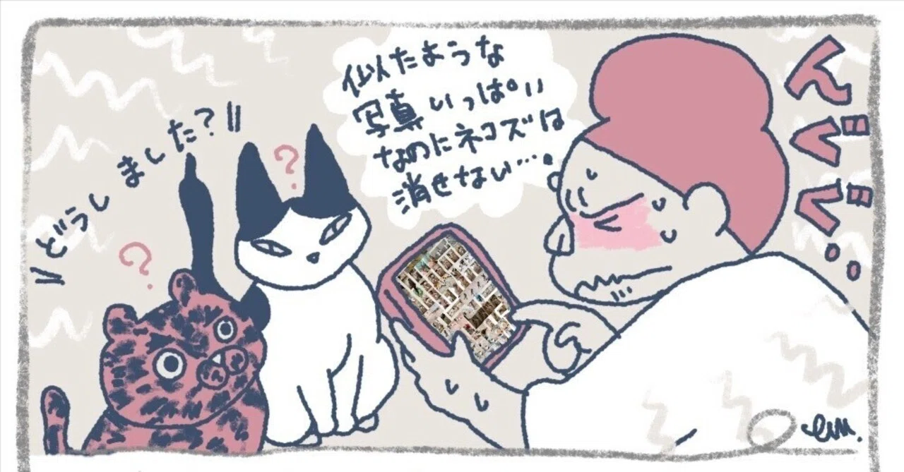 猫イラスト 期間限定 断捨離用 2025.6.10 断捨離で気づく大事なもの｜ミウラエツコ | イラストと