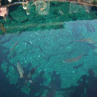 感想 新作歌舞伎 風の谷のナウシカ 後編 ユパの最期 シュワの墓所 Fool Note