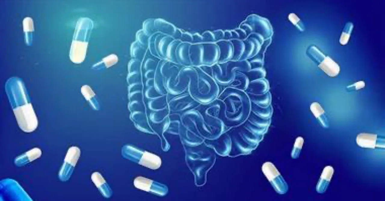 最新｜短期間の抗生物質使用でも長期的な腸の健康に影響を与える