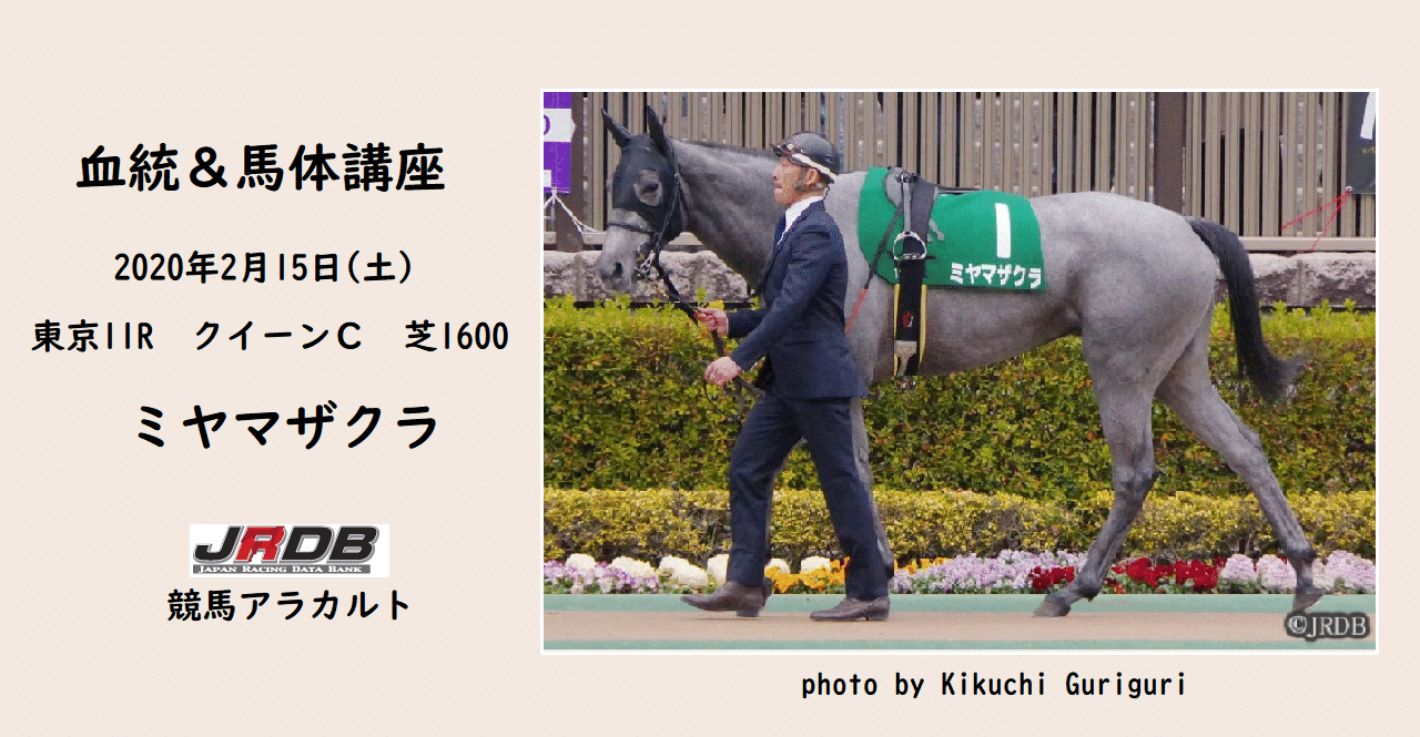 血統 馬体講座 ミヤマザクラ クイーンｃ Jrdb 競馬アラカルト Note