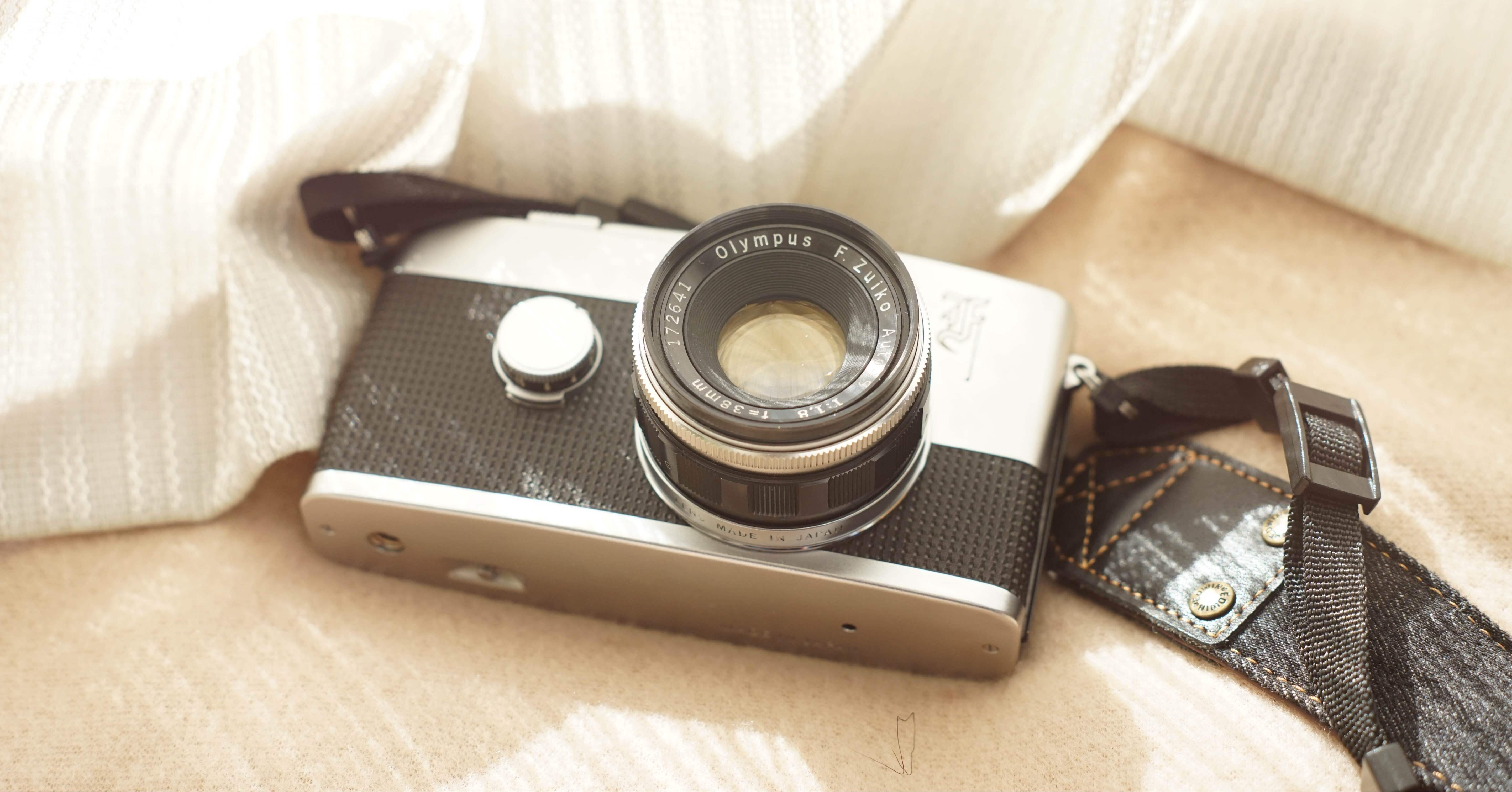 ハーフサイズで切り取る愛おしい記憶たち。｜春野 雪/Harunoyuki